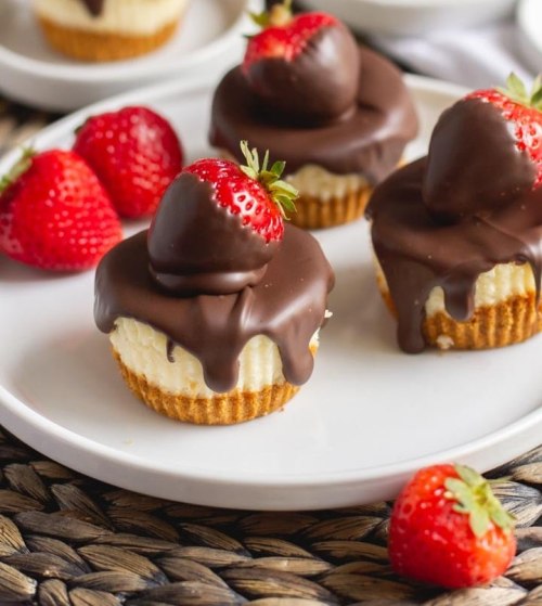 Three chocolate-covered strawberry cupcakes on a white plate, surrounded by fresh strawberries.