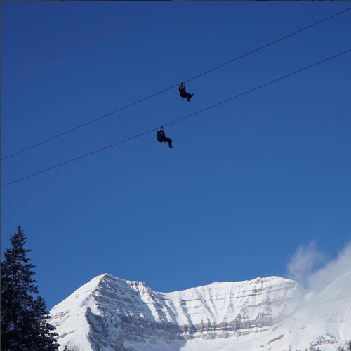Two people ziplining over a snowy mountain landscape under a clear blue sky. Pine trees are visible in the foreground.