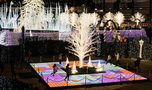 A vibrant display of colorful lights and illuminated trees in a festive outdoor setting, with people walking around.