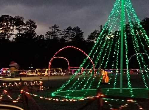 Colorful holiday lights illuminate a dark sky, featuring a large green tree and festive decorations in a park.