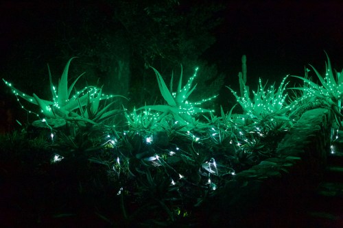 Glowing green lights illuminate plants in a dark garden, creating a magical nighttime atmosphere.