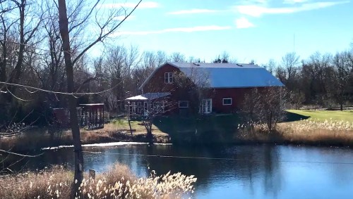 A red barn-style house by a calm pond, surrounded by trees and tall grass under a clear blue sky.