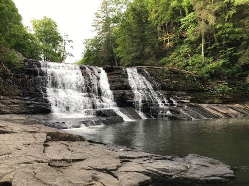 A serene waterfall cascades over rocky ledges into a calm pool, surrounded by lush green trees.