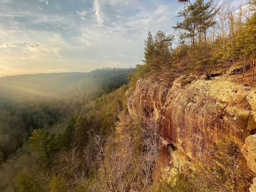 A scenic view of a rocky cliff surrounded by trees, with soft sunlight illuminating the landscape in the background.