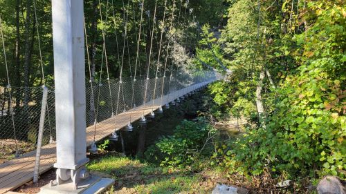 A suspension bridge spans a lush green forest, surrounded by trees and sunlight filtering through the leaves.