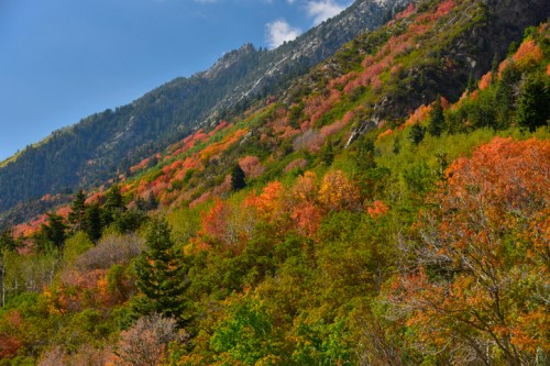 Vibrant autumn foliage covers a mountainous landscape under a clear blue sky.