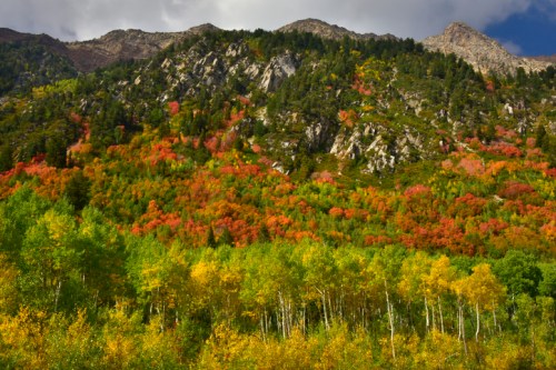 Vibrant autumn foliage on a mountainside, featuring red, orange, and yellow trees against rocky peaks.
