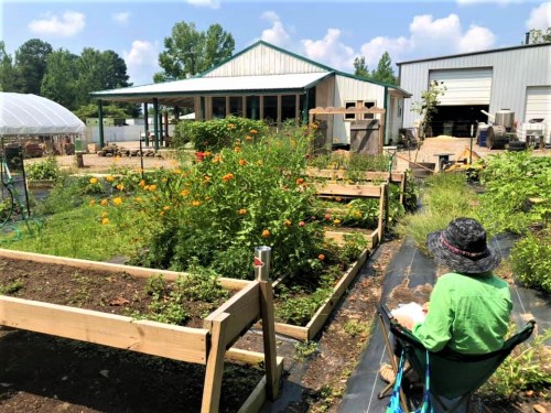 A person sits in a chair in a vibrant garden with flowers and raised beds, with a building and greenhouse in the background.