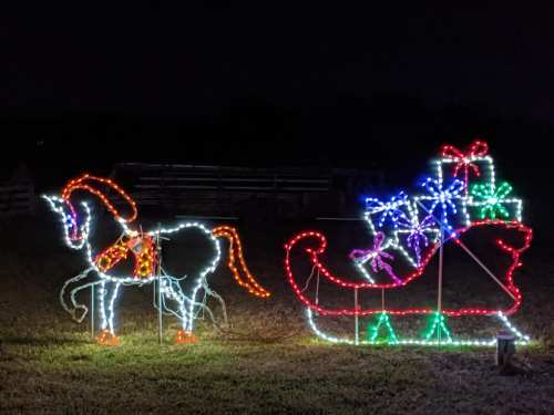Colorful holiday lights depicting a horse and a sleigh with presents, set against a dark night sky.