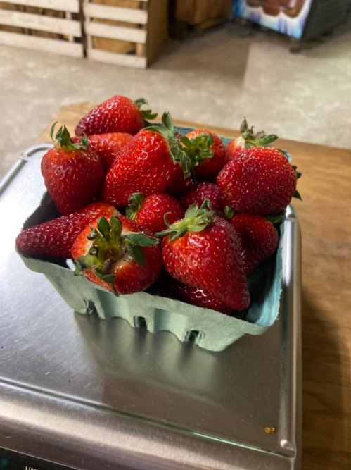 A green cardboard container filled with fresh, ripe strawberries on a metallic surface.