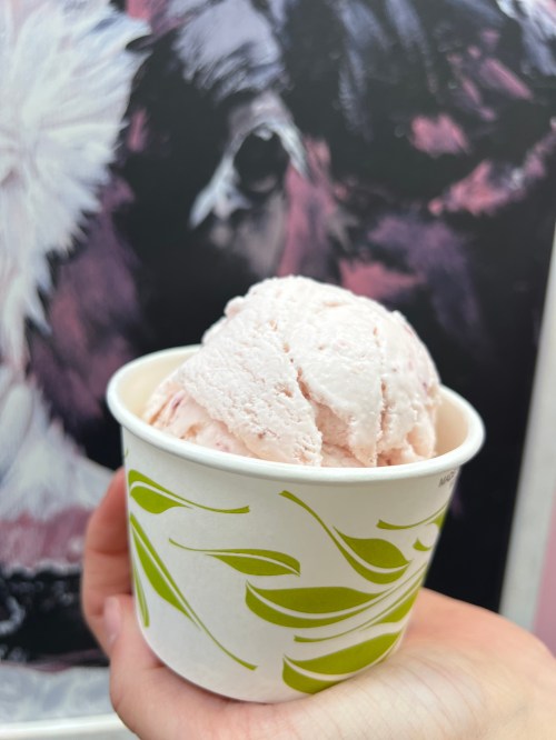 A hand holding a cup of pink ice cream with a leafy design, set against a colorful background.
