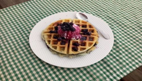 A plate of waffles topped with ice cream and blueberries, set on a green checkered tablecloth.
