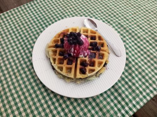 A plate of waffles topped with ice cream and blueberries, set on a green checkered tablecloth.