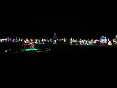 A festive display of colorful holiday lights illuminating a dark landscape, featuring various decorations and shapes.
