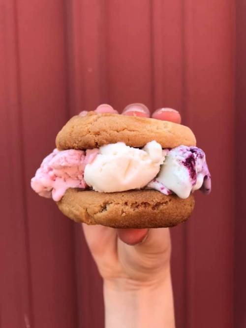A hand holding a cookie ice cream sandwich with pink and white ice cream between two golden cookies.