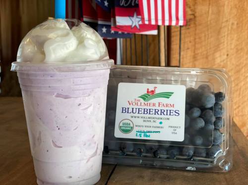 A frosty blueberry smoothie topped with whipped cream next to a container of fresh blueberries.
