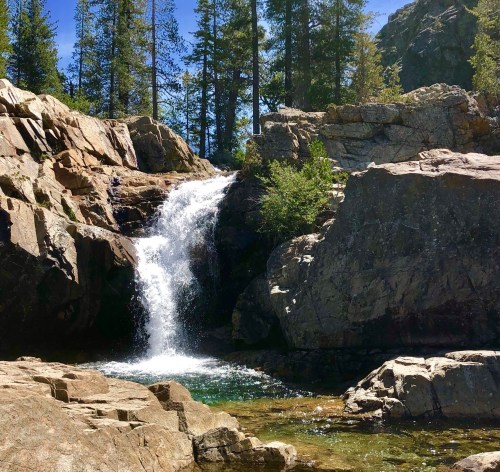 A serene waterfall cascades over rocks, surrounded by tall trees and a clear pool of water below.