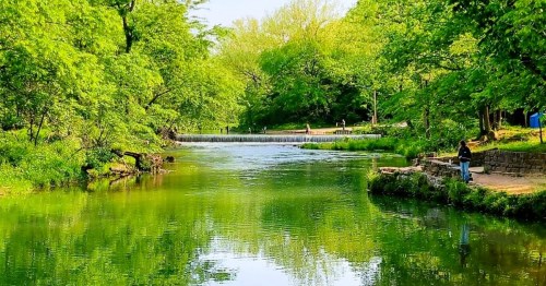 A serene river surrounded by lush green trees, with a person fishing on the bank under a clear blue sky.