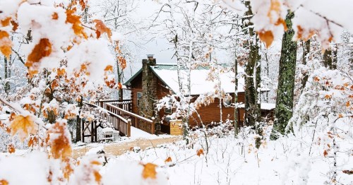 A cozy cabin surrounded by snow-covered trees and autumn leaves, creating a serene winter landscape.