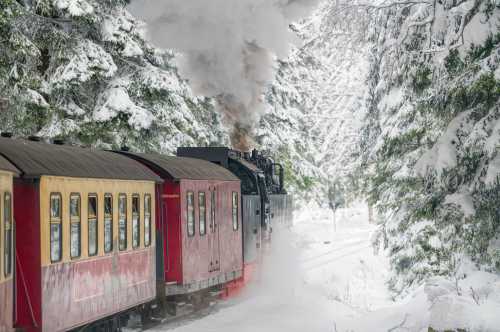 The Railroad Museum of New England Christmas train