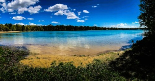 A serene lake with clear blue water, sandy shore, and a backdrop of trees under a bright blue sky with fluffy clouds.