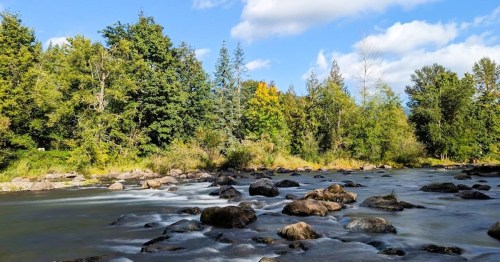 A serene river flows through a lush landscape, surrounded by trees and rocky banks under a blue sky with fluffy clouds.