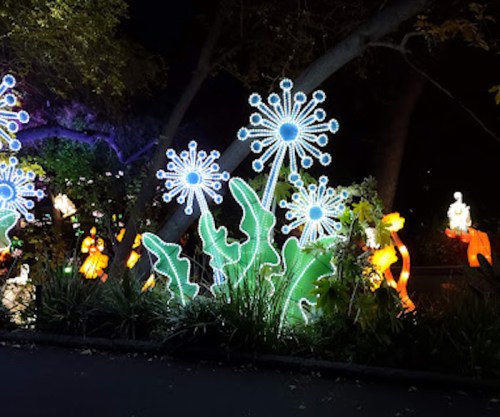 Colorful illuminated decorations resembling flowers and plants, set against a dark night background.