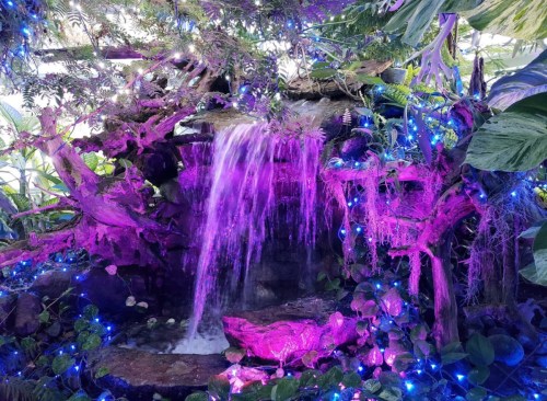 A vibrant waterfall surrounded by lush greenery and illuminated with purple and blue lights.
