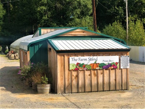 A wooden farm stand with a green roof, featuring a colorful sign and surrounded by greenery and gravel.