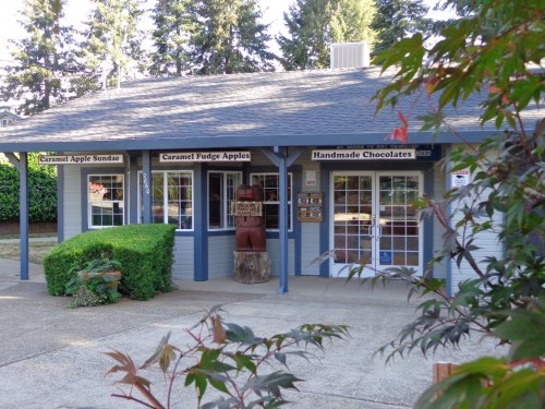 A quaint shop with signs for caramel apple sundae, fudge apples, and handmade chocolates, surrounded by greenery.