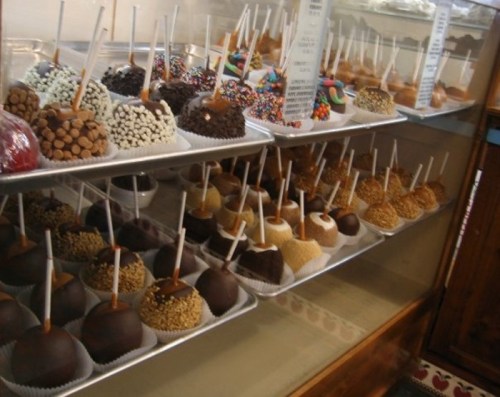 A display of various caramel apples coated in toppings like chocolate, nuts, and sprinkles, arranged on trays.