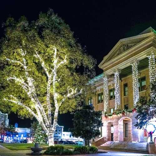 A beautifully lit building at night, surrounded by trees adorned with twinkling lights.