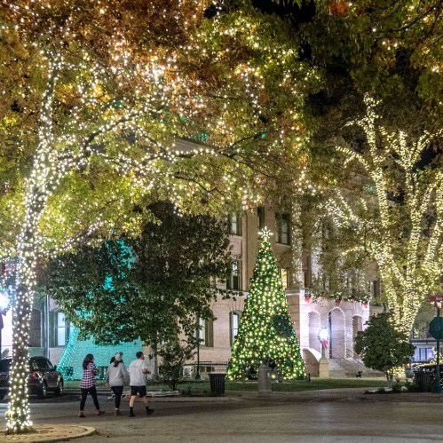 A festive scene with trees and buildings adorned with colorful holiday lights at night.