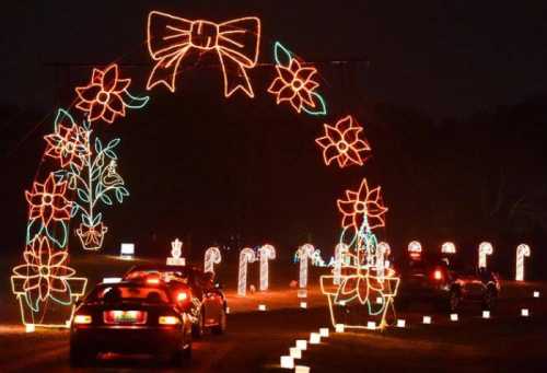 Colorful holiday lights form an arch with flowers and a bow, illuminating a nighttime road with cars passing through.