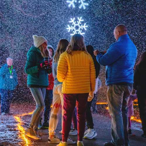 A group of people in winter clothing enjoying a snowy outdoor event with festive lights and decorations.