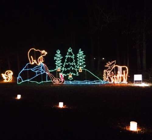 Colorful holiday lights depicting a forest scene with bears, a moose, trees, and a pond, set against a dark background.