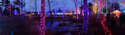 A vibrant display of colorful lights illuminates trees and a pond in a festive outdoor setting at dusk.