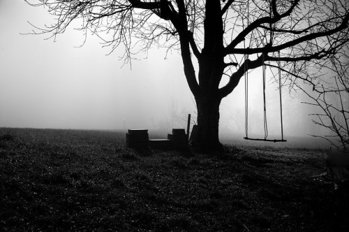 A foggy landscape featuring a bare tree with a swing, surrounded by dark grass and stacks of wood.