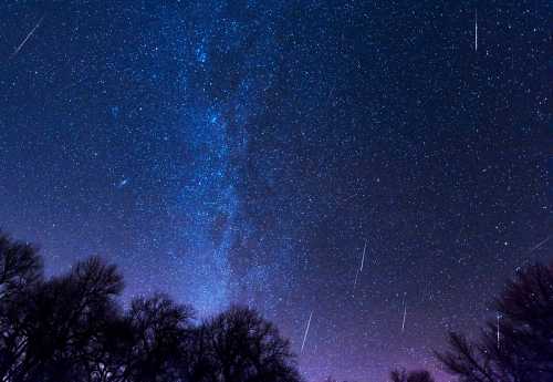 A starry night sky filled with the Milky Way and several shooting stars above silhouetted trees.