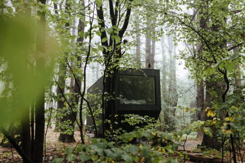 A modern black cabin nestled among trees in a misty forest, surrounded by lush green foliage.