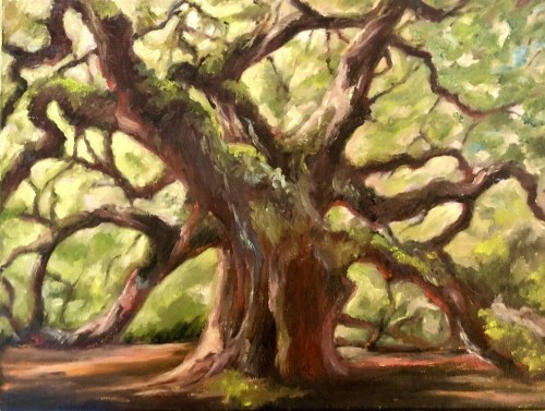A large, gnarled tree with sprawling branches and lush green leaves, set against a soft, natural background.