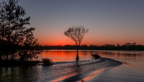 A serene sunset over a lake, with a lone tree silhouetted and a boat leaving ripples in the water.