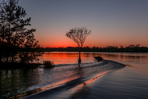 A serene sunset over a lake, with a lone tree silhouetted and a boat leaving ripples in the water.