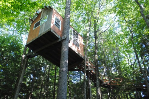 A treehouse elevated among tall trees, featuring a wooden structure and a connecting walkway. Lush green foliage surrounds it.