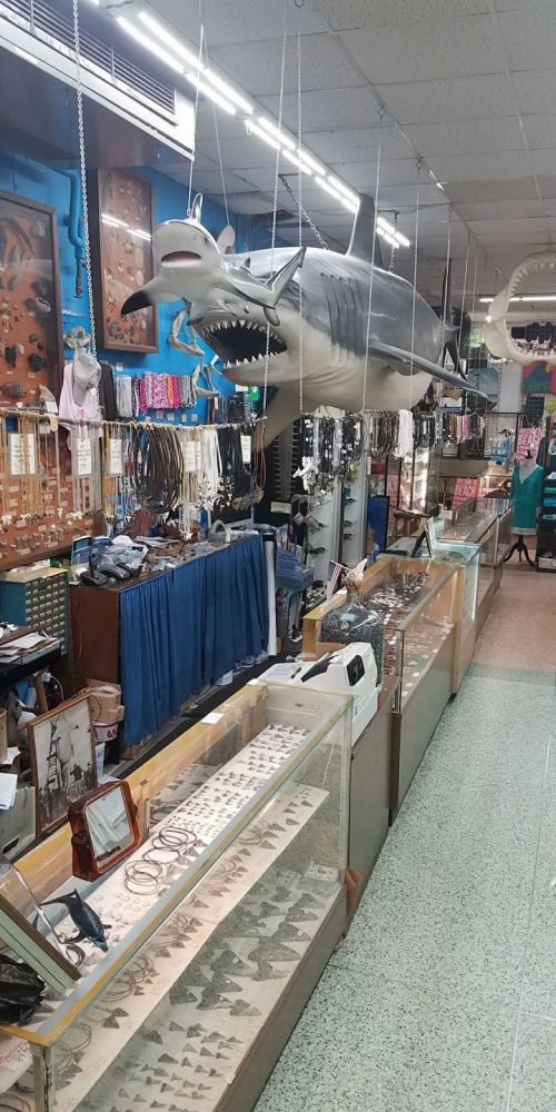 A quirky shop interior featuring a large hanging shark model and display cases filled with jewelry and accessories.