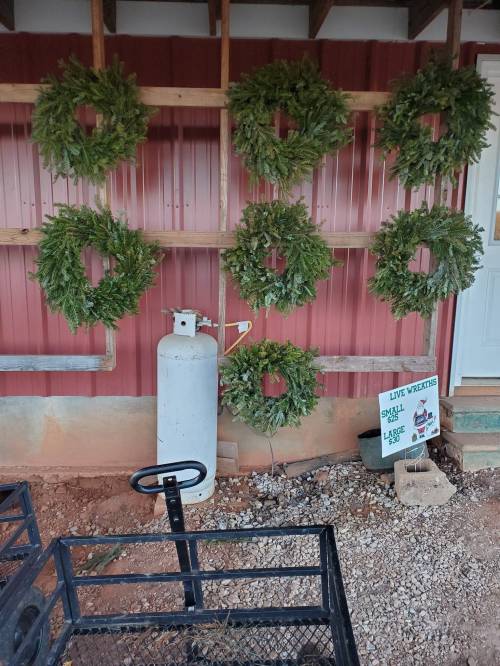 A wall display of green wreaths hanging on a wooden frame, with a propane tank and a sign for live wreaths nearby.