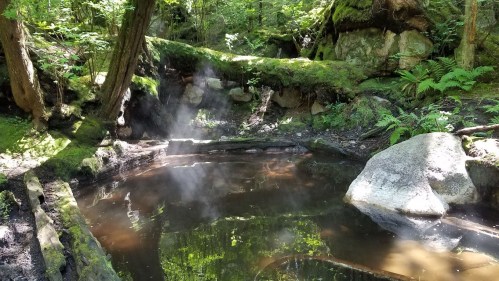 A serene forest scene featuring a steaming natural hot spring surrounded by lush greenery and moss-covered rocks.