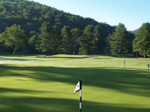 A serene golf course with lush green grass, trees in the background, and a flag marking the hole on the putting green.