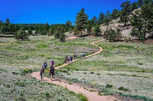 A group of hikers walking along a winding dirt path through a grassy landscape with trees and a clear blue sky.