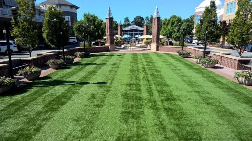 A green, manicured lawn with planters, leading to a plaza with trees and buildings in the background.